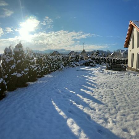 Sniezka House Villa Myslakowice Luaran gambar